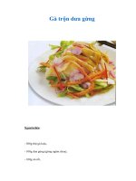 Tài liệu Gà trộn dưa gừng pdf