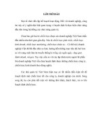 GIẢI PHÁP CHO HOẠCH ĐỊNH CHIẾN lược của các CÔNG TY VIỆT NAM HIỆN NAY 