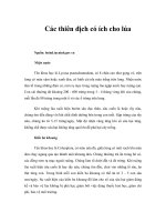 Tài liệu Các thiên địch có ích cho lúa docx