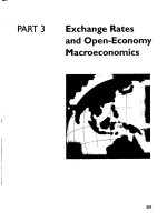 Tài liệu International Economics Theory and Policy Part 3 doc