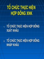 TỔ CHỨC THỰC HIỆN 