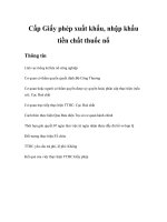 Tài liệu Cấp Giấy phép xuất khẩu nhập khẩu tiền chất thuốc nổ ppt