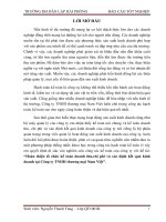 Hoàn thiện tổ chức kế toán doanh thu,chi phí và xác định kết quả kinh doanh tại công ty TNHH thƣơng mại nam việt 