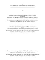 Tài liệu CERTIFICATION AND TESTING UNDER THE CPSIA _______________________________________________ doc