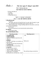 Gián án Giáo án lớp 3 tuần 1 năm 2010 - 2011