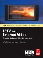 Tài liệu IPTV and Internet Video doc