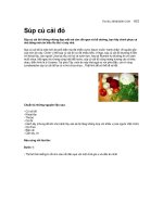 Tài liệu Súp củ cải đỏ doc