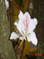 Bài giảng Tổng hiệu