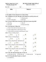 Bài giảng Đề Thi HK1 lớp 4,5