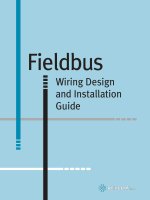 Tài liệu Fieldbus Wiring Design and Installation Guide docx