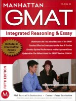 Manhattan GMAT integrated reasoning and essay 