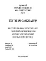 Slide PHÂN TÍCH TÌNH HÌNH CHO VAY và sử DỤNG vốn VAY CỦACÁC hộ NÔNG dân tại CHI NHÁNH NGÂN HÀNG NÔNG NGHIỆP và PHÁT TRIỂN NÔNG THÔN HUYỆN THANH CHƯƠNG, TỈNH NGHỆ AN  