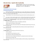 Tài liệu VIEM DAI TRANG-NGUYEN NHAN VA GIAI PHAP