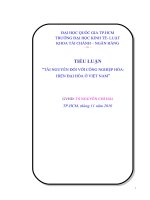 Tiểu luận công nghiệp hóa, hiện đại hóa ở việt nam 