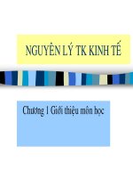 Tài liệu Nguyên lý TK kinh toán ppt