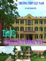 Tài liệu Cảm ứng ở động vật ( tiết 2) docx