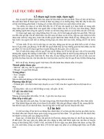 Tài liệu 3 LỄ TỤC TIÊU BIỂU ppt