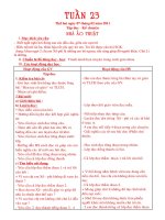 Bài giảng GIAO AN LOP 3.TUAN 23.CKT