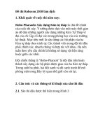 Tài liệu Đề thi Robocon 2010 bản dịch doc