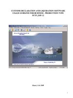 Tài liệu CUSTOMS DECLARATION AND LIQUIDATION SOFTWARCUSTOMS DECLARATION AND LIQUIDATION SOFTWARE USAGE GUIDLINE FOR BUSINESS - PRODUCTION TYPE ECUS_KD 1.2 docx
