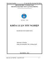 Hoàn thiện công tác tổ chức kế toán doanh thu, chi phí và xác định kết quả kinh doanh tại công ty cổ phần công nghiệp việt hoàng 
