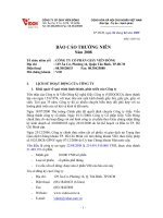 Tài liệu BÁO CÁO THƯỜNG NIÊN 2008 - CÔNG TY CỔ PHẦN GIẤY VIỄN ĐÔNG QUÍ 1/2009 pdf