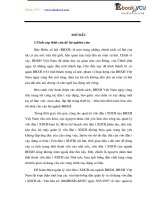 Luan van chuyen de vốn đt XDCB bảo hiểm xã hội