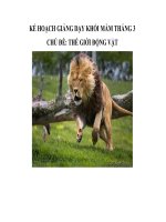 Tài liệu CHỦ ĐỀ: THẾ GIỚI ĐỘNG VẬT - Khối Mầm ppt