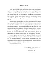 Giải pháp nâng cao hiệu quả giao tiếp ứng xử của nhân viên marketing tại công ty TNHH thương mại và dịch vụ du lịchtrang bình (five stars) 