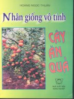 kĩ thuật trồng cây ăn quả