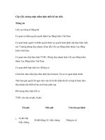 Tài liệu Cấp Giấy chứng nhận thẩm định thiết kế tàu biển pptx