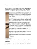 Tài liệu Ba câu hỏi cho lãnh đạo trong kỷ nguyên mới pdf