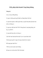 Tài liệu Giấy phép kinh doanh Cảng hàng không pptx