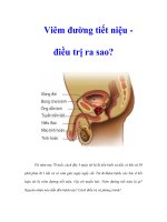 Tài liệu Viêm đường tiết niệu điều trị ra sao? pdf