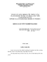 Tách và xác định cấu trúc của flavonoit từ nụ và hoa cây vối clei'stocalyx operculatus (roxb) merr et perry 