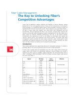 Tài liệu ADC KRONE - Guide - FO - The Key to Unlocking Fiber competitive advantages doc