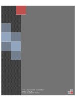 ỨNG DỤNG GIS TRONG QUẢN lý hệ THỐNG hạ TẦNG đô THỊ tại THÀNH PHỐ hồ CHÍ MINH 