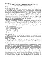 Bài giảng Sáng kiến kinh nghiệm Lớp 3