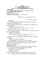 Bài soạn Giao an BD Toan-Tieng viet lop 5