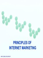 Tài liệu PRINCIPLES OF INTERNET MARKETING doc