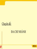 Tài liệu Đa chi nhánh ppt