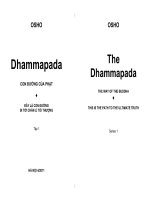 Con đường của Phật – Tập 1