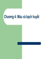 Tài liệu Chương 4:Máu và bạch huyết pptx