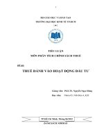 Đề tài THUẾ ĐÁNH vào HOẠT ĐỘNG đầu tư 