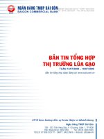 Tài liệu Bản tin tổng hợp thị trường lúa gạo doc