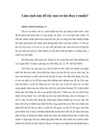 Tài liệu Làm cách nào để cây mai có tán theo ý muốn? pptx