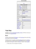 Tài liệu Vĩnh Phúc pdf