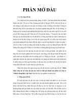 Hoàn thiện công tác kế toán chi phí sản xuất và tính giá thành sản phẩm tại công tyT NHH changshin việt nam 