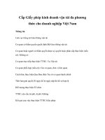 Tài liệu Cấp Giấy phép kinh doanh vận tải đa phương thức cho doanh nghiệp Việt Nam pdf