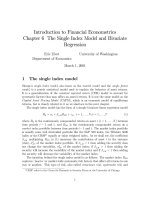 Chapter 6 The Single Index Model and Bivariate Regression
